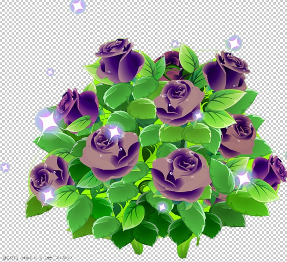 紫玫瑰图片 图行天下素材网