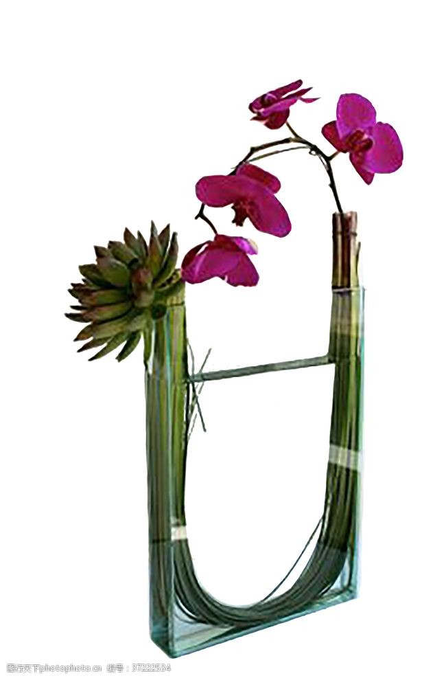 花艺图片 图行天下素材网