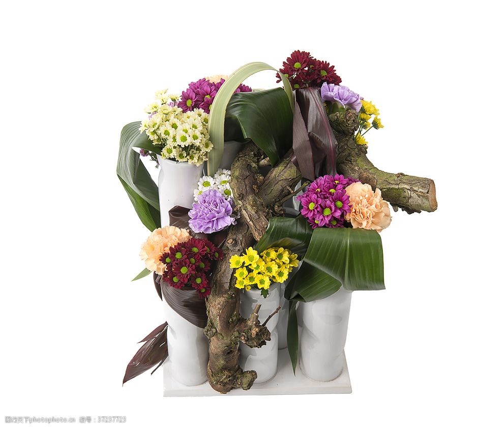 花艺图片 图行天下素材网