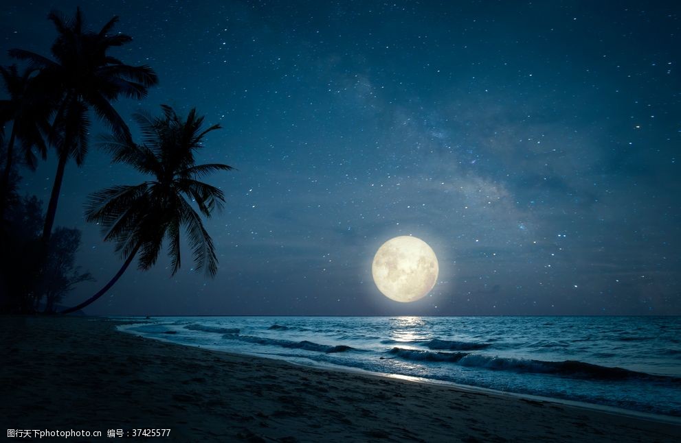 月夜美景图片 图行天下素材网